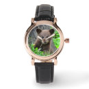 Search for baby watches Cute baby animal