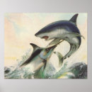 Search for marlin posters Black