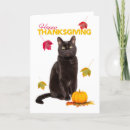 Search for black cat thanksgiving cards Leaves