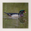 Search for duck puzzles Outdoors