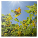 Search for bee tiles Nature