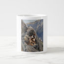 Search for apache mugs Geronimo