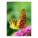 Search for fritillary Yellow
