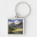 Search for metallic vertical key rings Freshness