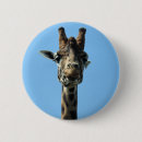 Search for giraffe badges Nature