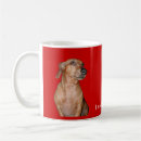 Search for i need caffeine mugs Cute