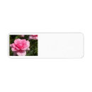 Search for rose garden return address labels Summer
