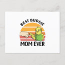 Search for budgie postcards Pet