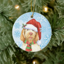 Search for italian santa christmas tree decorations Dog