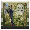 Search for giraffe posters Funny