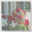 Search for geranium barware Red