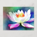 Search for water lily postcards Botanical