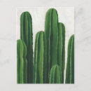 Search for coastal postcards Green