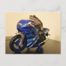 Search for toad Frog