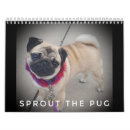 Search for pug calendars Puppy