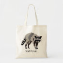 Search for trashed bags Racoon