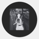 Search for dog meme stickers Vintage