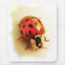 Search for ladybug mousepads Nature