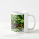 Search for duckling mugs Wildlife