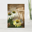 Search for cone flowers cards Butterfly