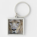 Search for big cats key rings Africa
