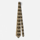 Search for box turtle accessories Wildlife