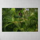 Search for green palm leaf posters Texture