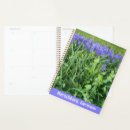 Search for violet photography Purple