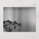 Search for blank antique vintage postcards Copyspace