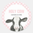 Search for cute pink cow stickers First birthday