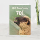 Search for 70th joke birthday cards Funny