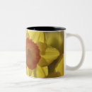 Search for yellow daffodil mugs Nature