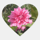 Search for unique heart stickers Flower