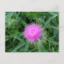 Search for feature postcards Green
