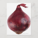 Search for isolated postcards Food