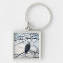 Search for eagle feather key rings Feathers