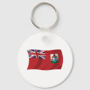 Search for bermuda flags British