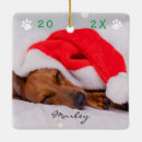 Search for santa paws christmas tree decorations Puppy