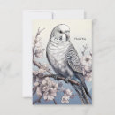 Search for parakeet cards Budgerigar