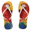 Search for parrot shoes Tropical