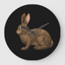 Search for hare clocks Wild animal