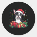 Search for funny boston terrier stickers Merry christmas