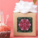 Search for red dahlia stickers Nature