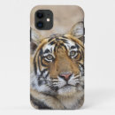 Search for bengals iphone cases Cat