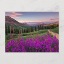 Search for crested butte postcards Landscape