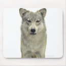 Search for wolf eyes mousepads Animal