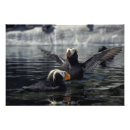 Search for state bird posters Alaska