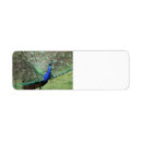 Search for peacock blue return address labels Colourful