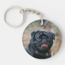 Search for black pugs key rings Looking at camera