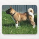 Search for fun mousepads Puppy